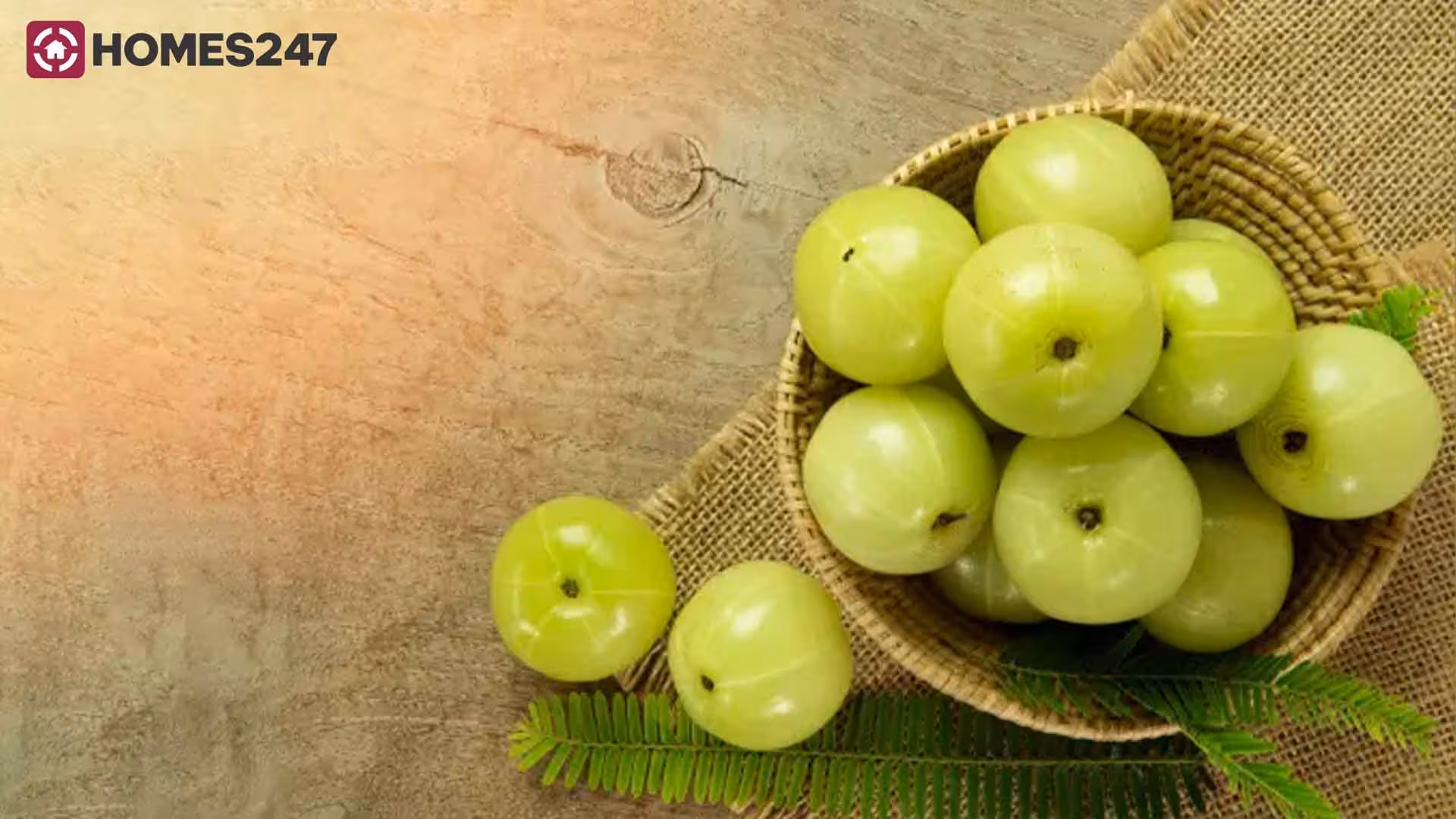 Benefits of Amla